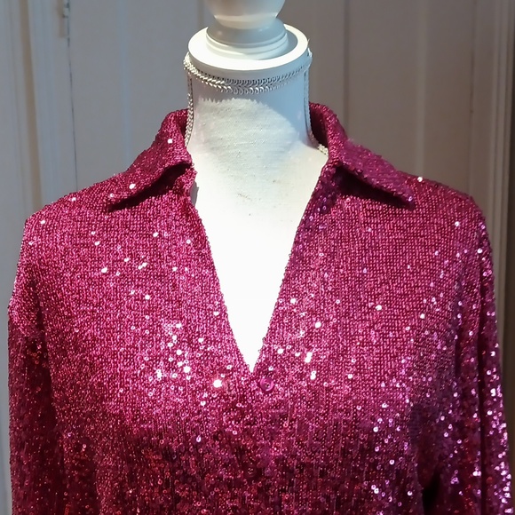 Rachel Zoe Long Sleeved Sequinned Blouse - Picture 2 of 11